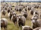 - Greendale -, West Wyalong NSW 2671