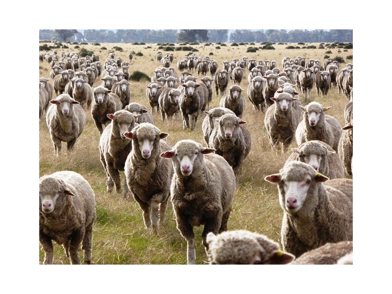 - Greendale -, West Wyalong NSW 2671