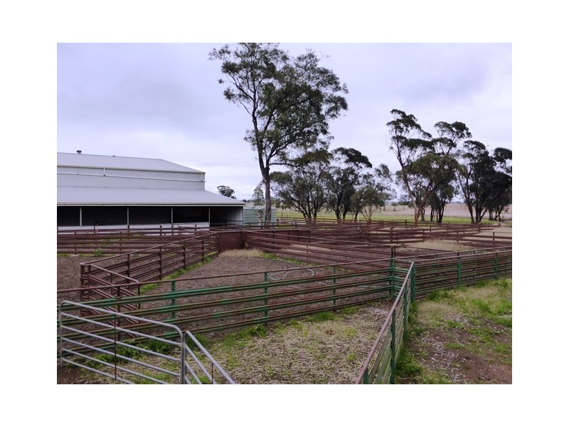 - Greendale -, West Wyalong NSW 2671