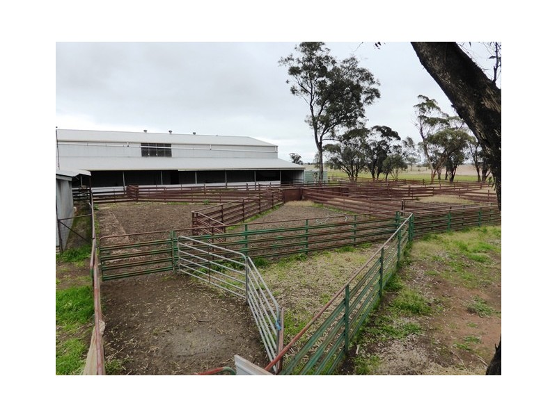 - Greendale -, West Wyalong NSW 2671
