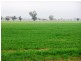 - Greendale -, West Wyalong NSW 2671