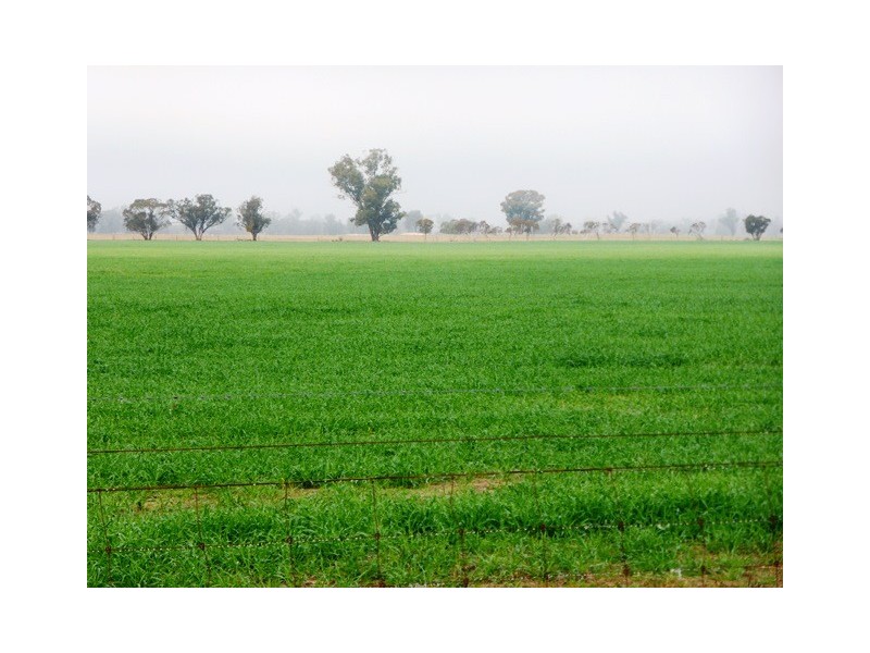 - Greendale -, West Wyalong NSW 2671
