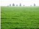 - Greendale -, West Wyalong NSW 2671