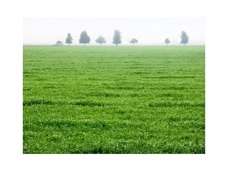 - Greendale -, West Wyalong NSW 2671