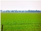 - Greendale -, West Wyalong NSW 2671