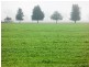 - Greendale -, West Wyalong NSW 2671