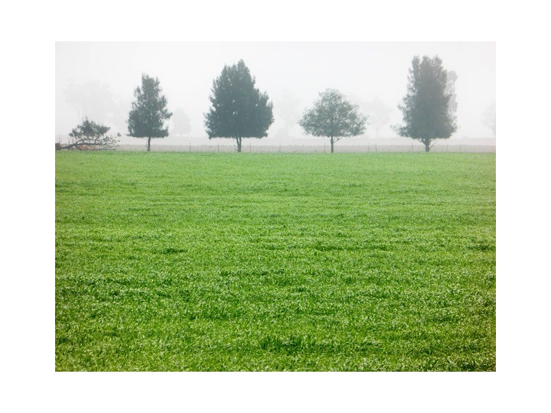 - Greendale -, West Wyalong NSW 2671