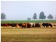 - Greendale -, West Wyalong NSW 2671