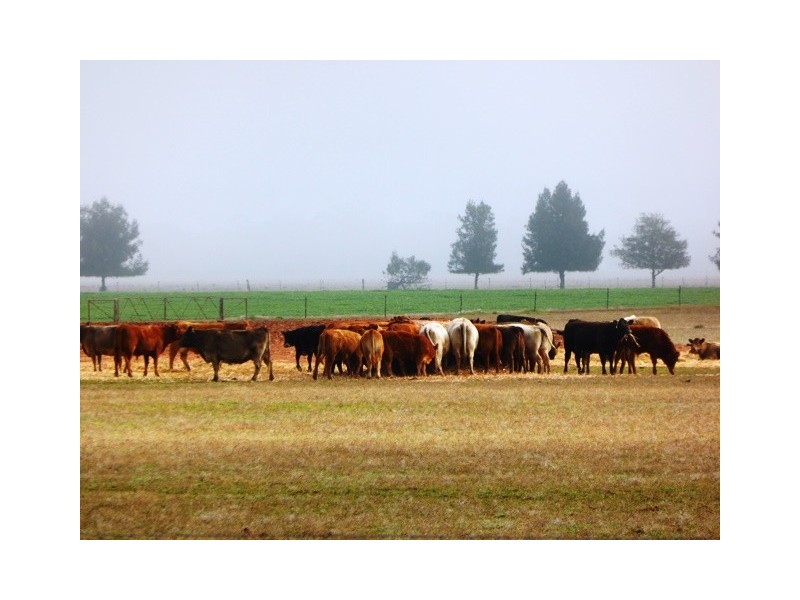 - Greendale -, West Wyalong NSW 2671