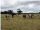 - Greendale -, West Wyalong NSW 2671
