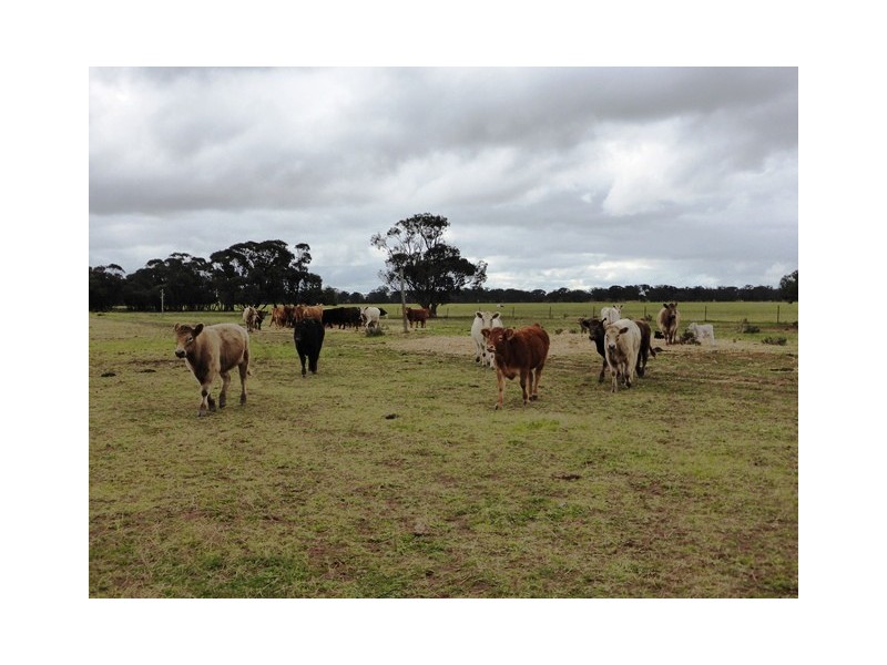 - Greendale -, West Wyalong NSW 2671