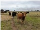 - Greendale -, West Wyalong NSW 2671