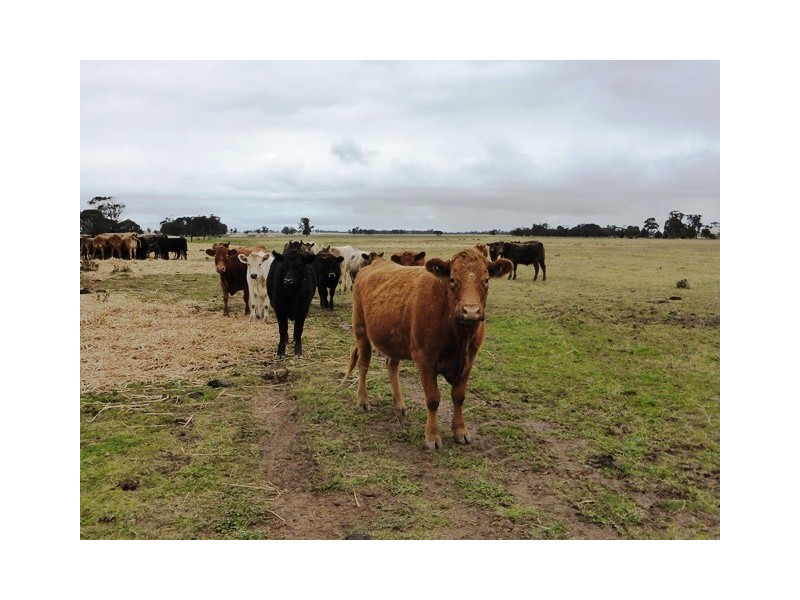 - Greendale -, West Wyalong NSW 2671