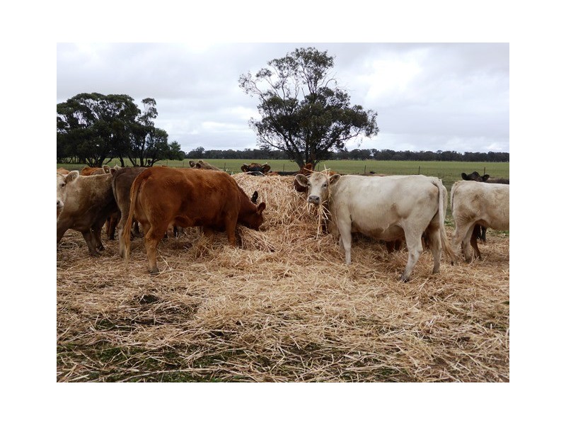 - Greendale -, West Wyalong NSW 2671