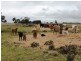 - Greendale -, West Wyalong NSW 2671