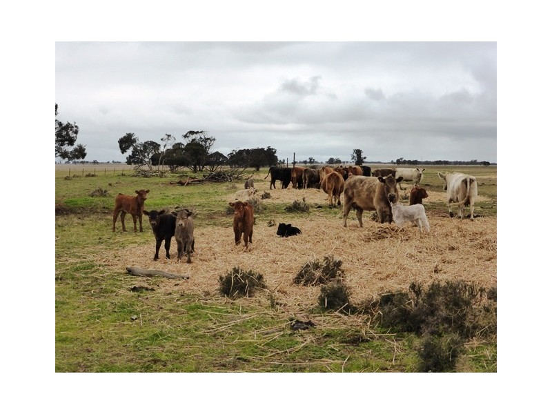 - Greendale -, West Wyalong NSW 2671