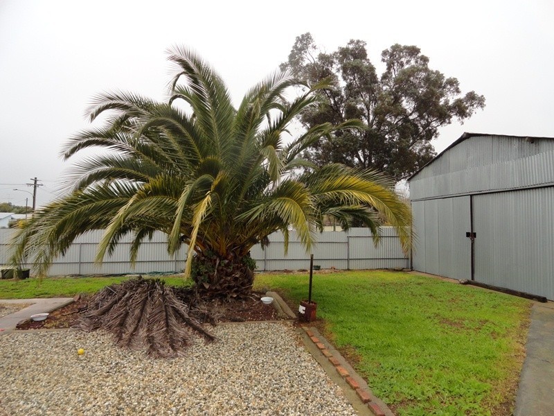 0 Wenke Street, Walla Walla NSW 2659