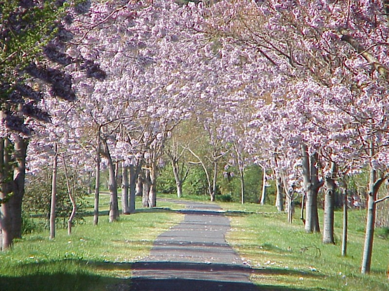 U1,Lot 3,14 Gavan Street, Bright VIC 3741