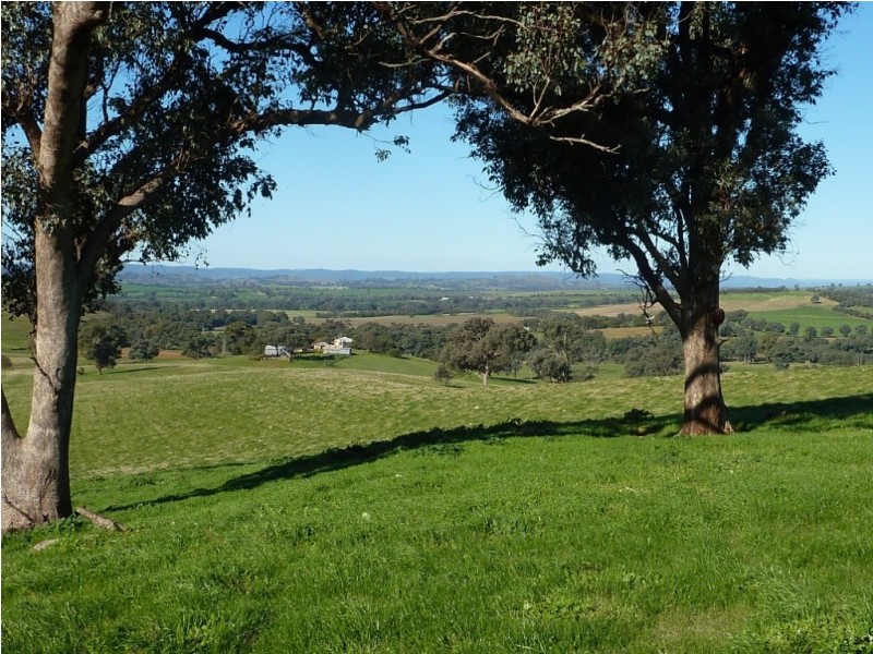 429 Coreinbob Siding Road, Ladysmith, Wagga Wagga NSW 2650