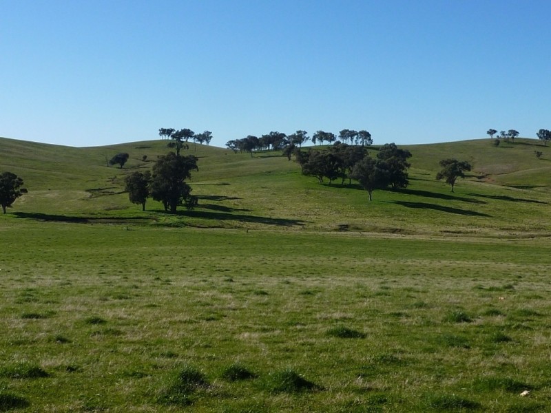 429 Coreinbob Siding Road, Ladysmith, Wagga Wagga NSW 2650