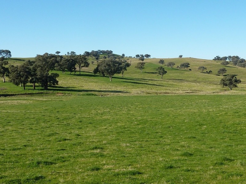 429 Coreinbob Siding Road, Ladysmith, Wagga Wagga NSW 2650