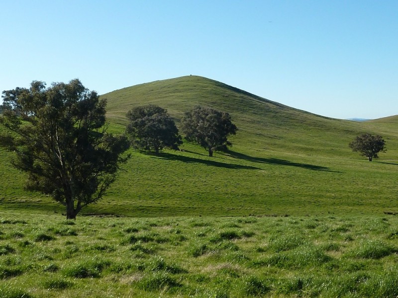 429 Coreinbob Siding Road, Ladysmith, Wagga Wagga NSW 2650