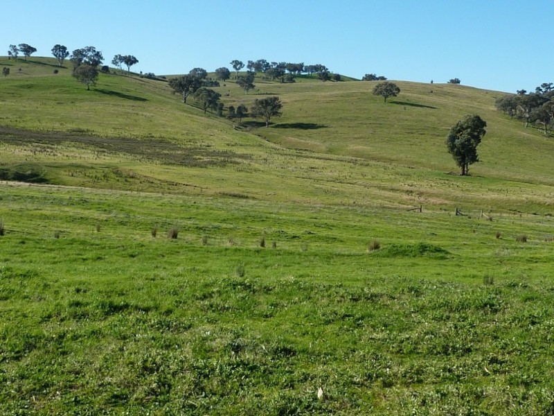 429 Coreinbob Siding Road, Ladysmith, Wagga Wagga NSW 2650