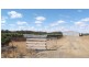 Lavorare Farm Maude Road, Hay NSW 2711