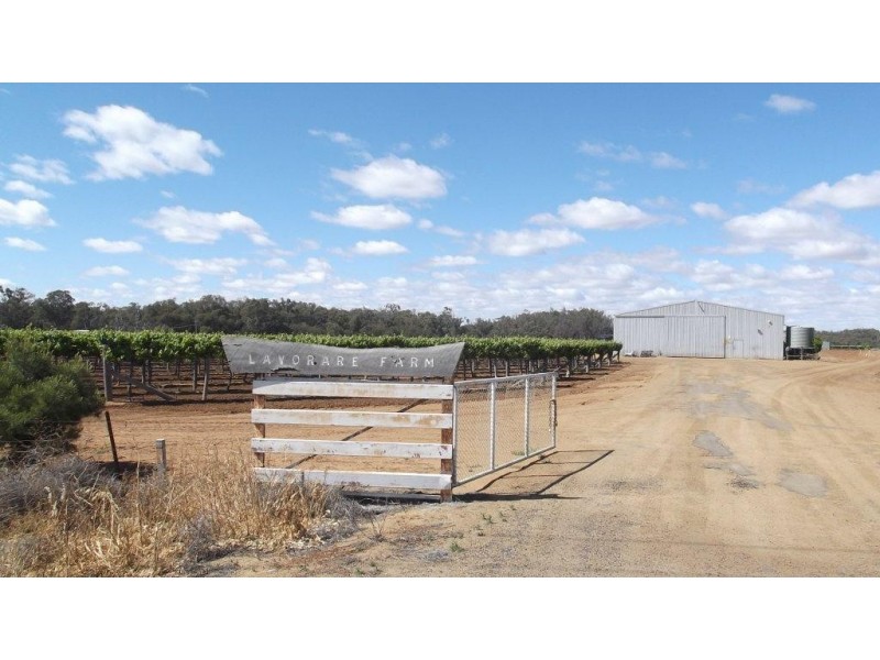 Lavorare Farm Maude Road, Hay NSW 2711