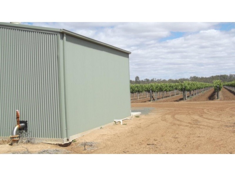 Lavorare Farm Maude Road, Hay NSW 2711