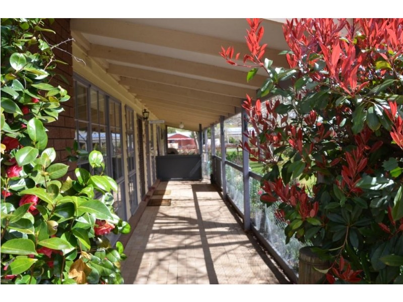 14 Gavan Street, Bright VIC 3741