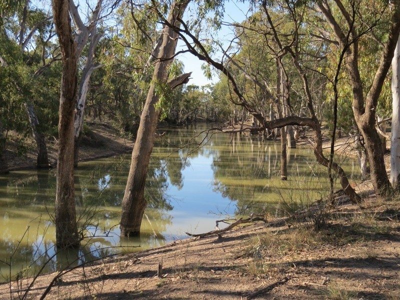 WIDGEE Wakool Road, Deniliquin NSW 2710