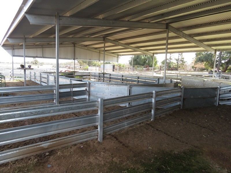 WIDGEE Wakool Road, Deniliquin NSW 2710