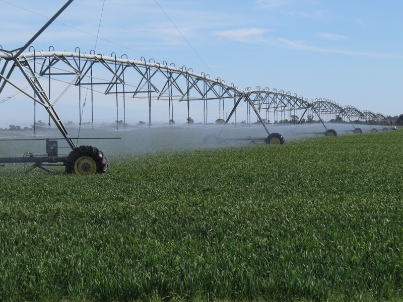 WIDGEE Wakool Road, Deniliquin NSW 2710