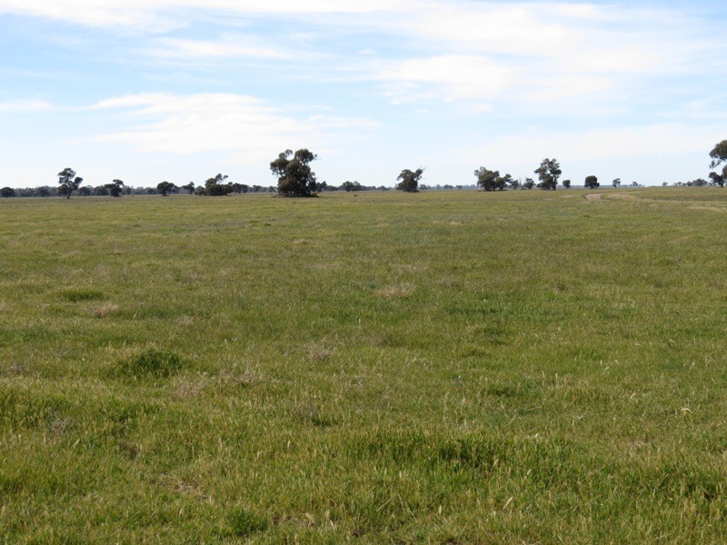 WIDGEE Wakool Road, Deniliquin NSW 2710