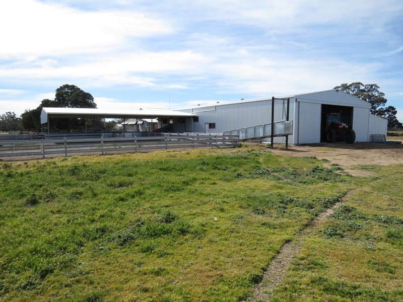 WIDGEE Wakool Road, Deniliquin NSW 2710