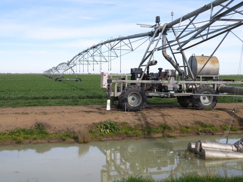 WIDGEE Wakool Road, Deniliquin NSW 2710