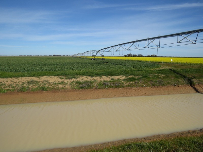 WIDGEE Wakool Road, Deniliquin NSW 2710