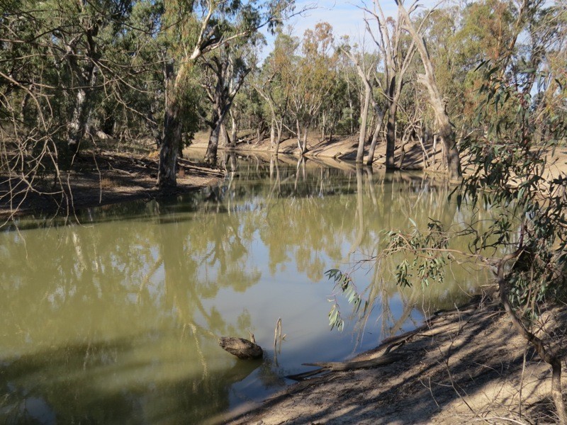 WIDGEE Wakool Road, Deniliquin NSW 2710