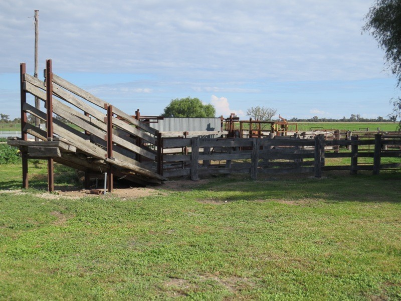 WIDGEE Wakool Road, Deniliquin NSW 2710