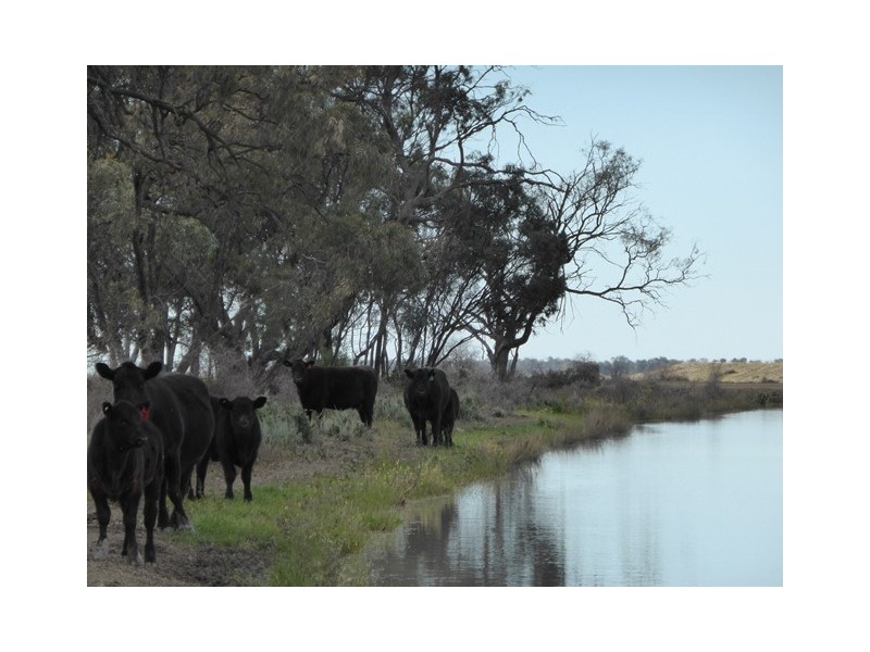 | Noongaburra-Yarrawah Irrigation, Hay NSW 2711