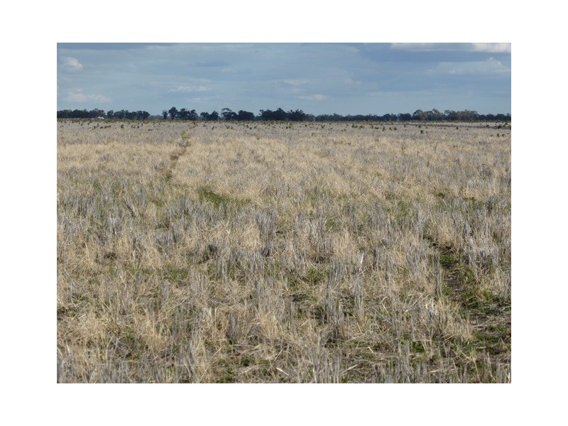 | Noongaburra-Yarrawah Irrigation, Hay NSW 2711