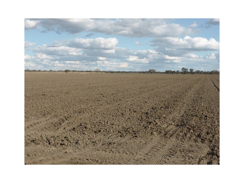 | Noongaburra-Yarrawah Irrigation, Hay NSW 2711