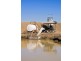 | Noongaburra-Yarrawah Irrigation, Hay NSW 2711
