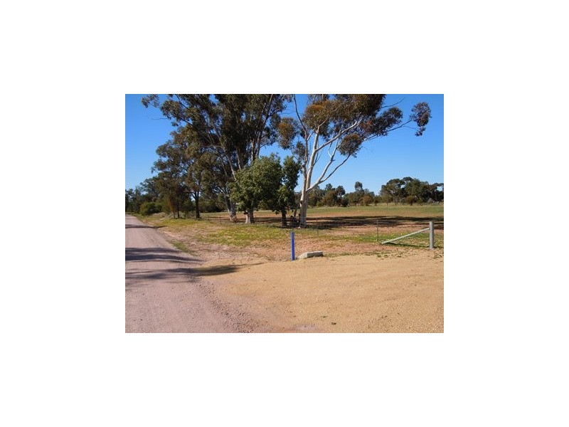 124 Cypress Road, Narrandera NSW 2700