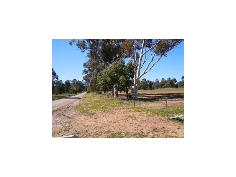 124 Cypress Road, Narrandera NSW 2700