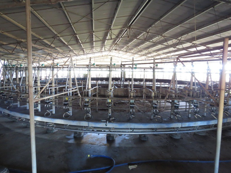 Riverina Highway, Blighty NSW 2713