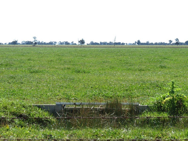 Riverina Highway, Blighty NSW 2713