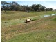 Riverina Highway, Blighty NSW 2713