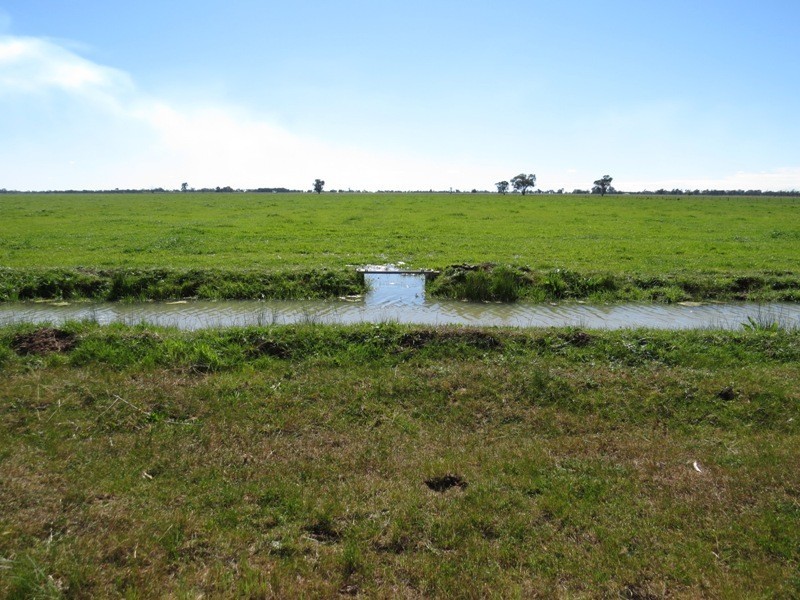 Riverina Highway, Blighty NSW 2713